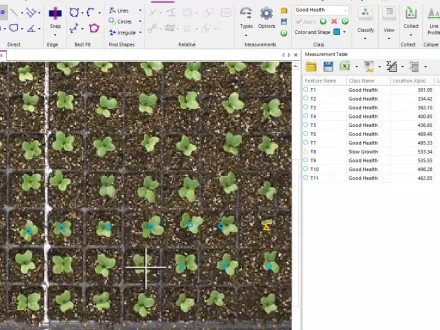 Object Tagging